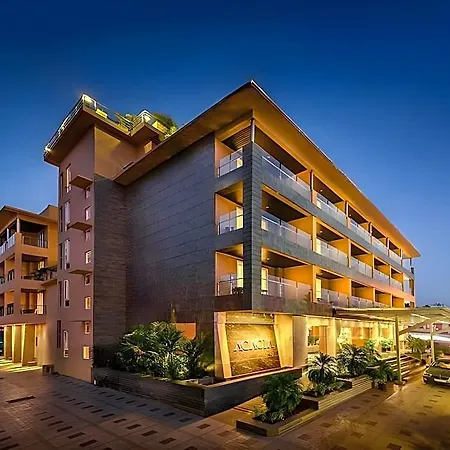 Acacia Goa-3